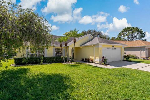 4125 MC CLUNG DRIVE NEW PORT RICHEY FL 34653