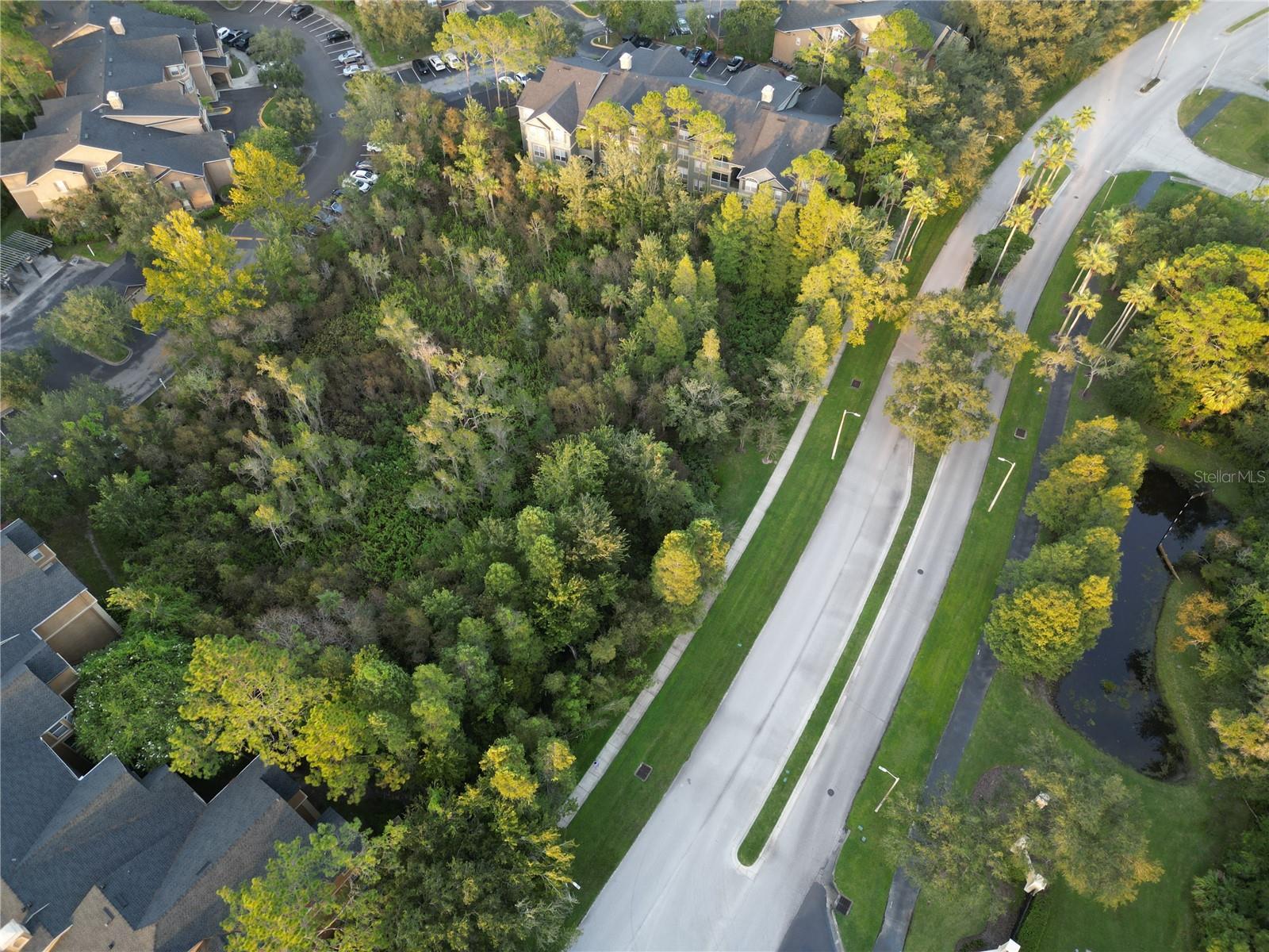 OXFORD PLACE AT TAMPA PALMS A - Residential