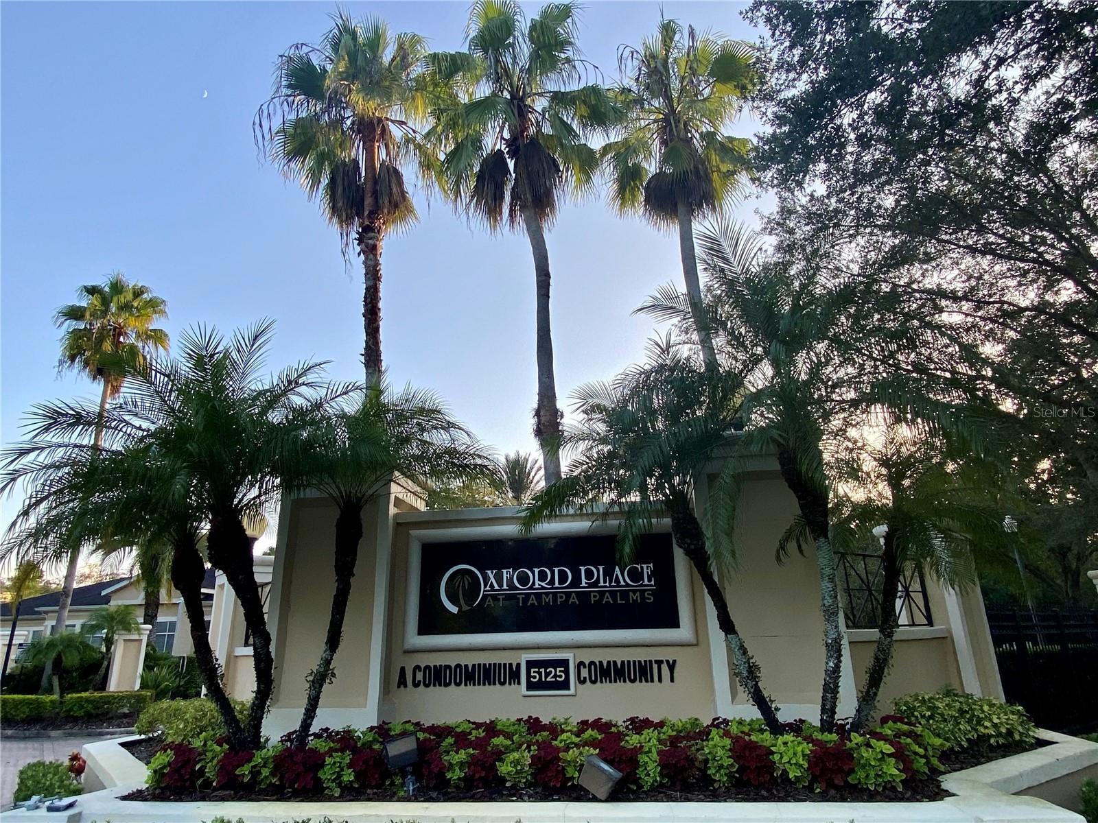 OXFORD PLACE AT TAMPA PALMS A - Residential