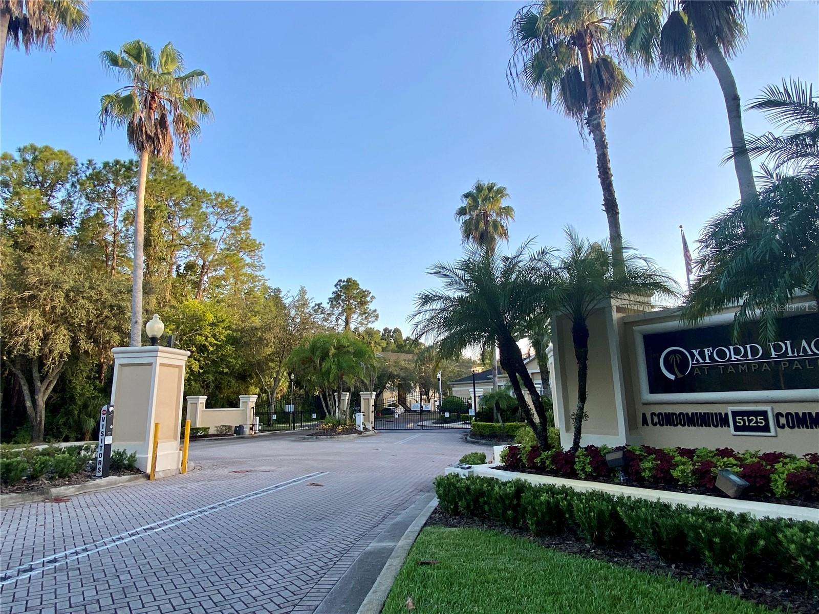 OXFORD PLACE AT TAMPA PALMS A - Residential