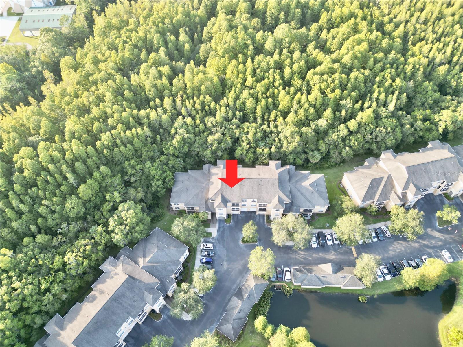 OXFORD PLACE AT TAMPA PALMS A - Residential