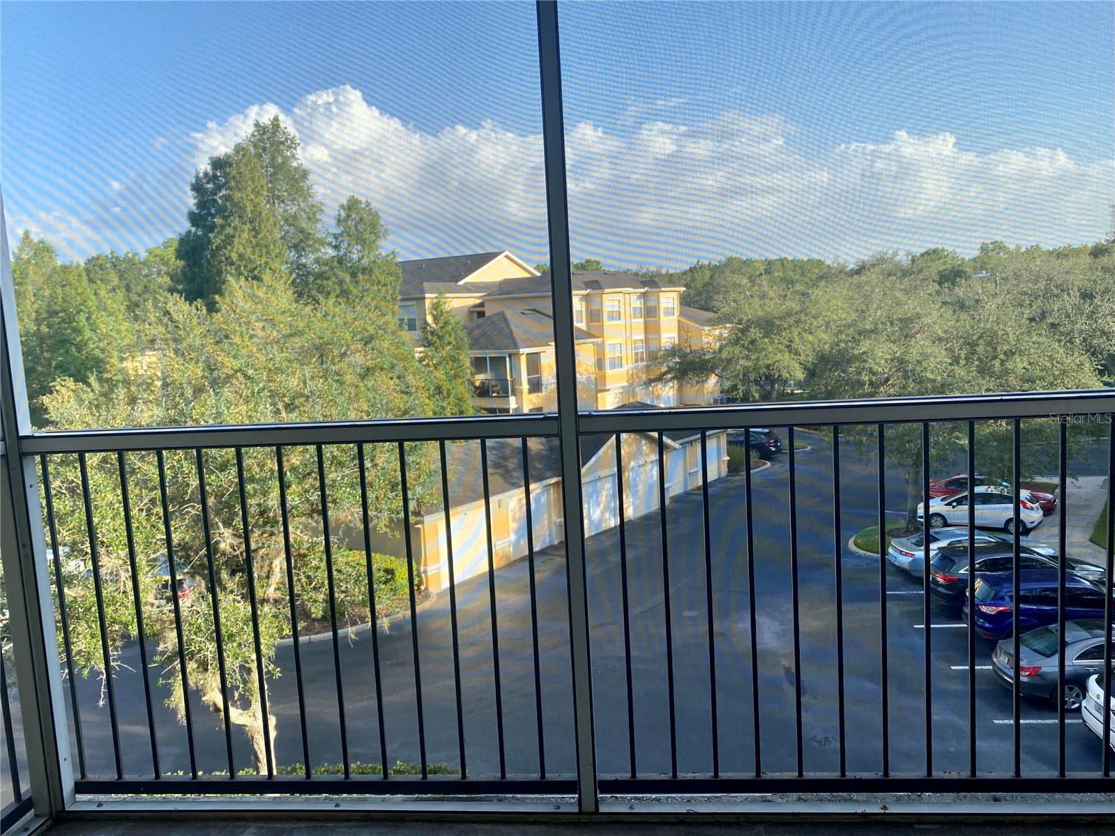 OXFORD PLACE AT TAMPA PALMS A - Residential