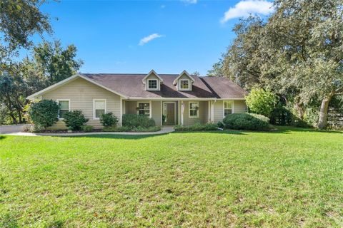 Photo of 5633 W Nobis Circle, Homosassa, FL 34448 (MLS # OM712765)