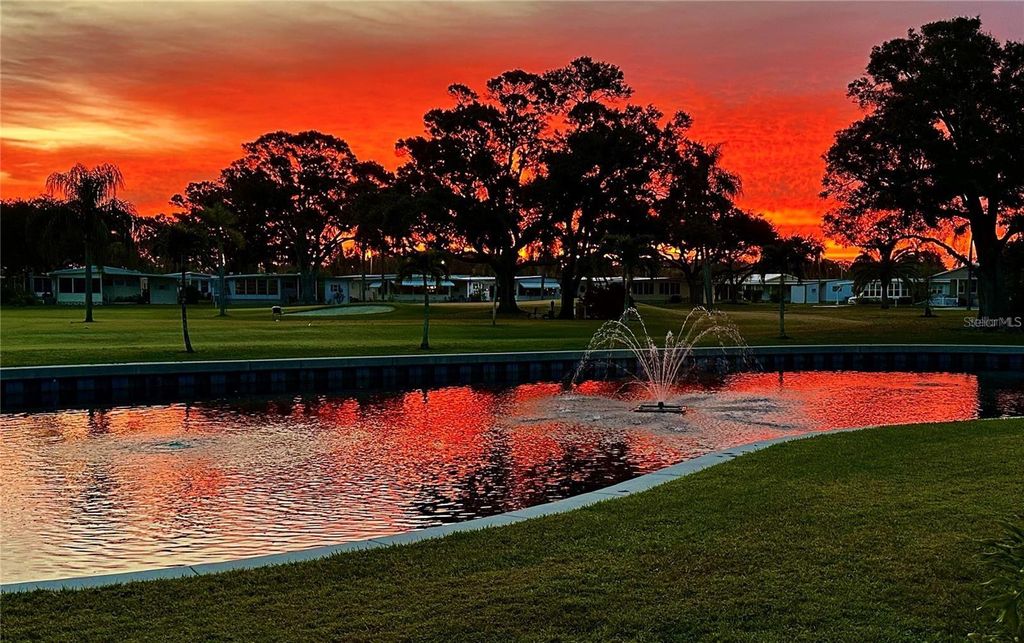 Photo of 1100 Belcher Road S #454, Largo, FL 33771 (MLS # TB8434752)