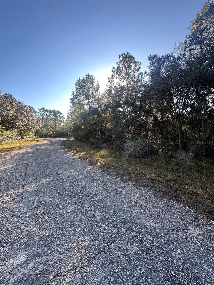 CITRUS SPGS UNIT 06 - Land