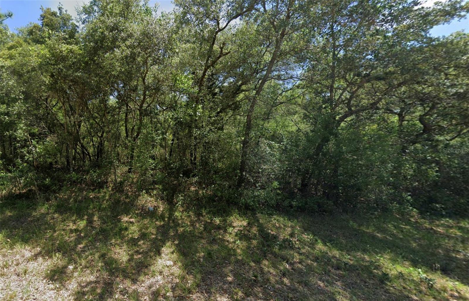 CITRUS SPGS UNIT 06 - Land