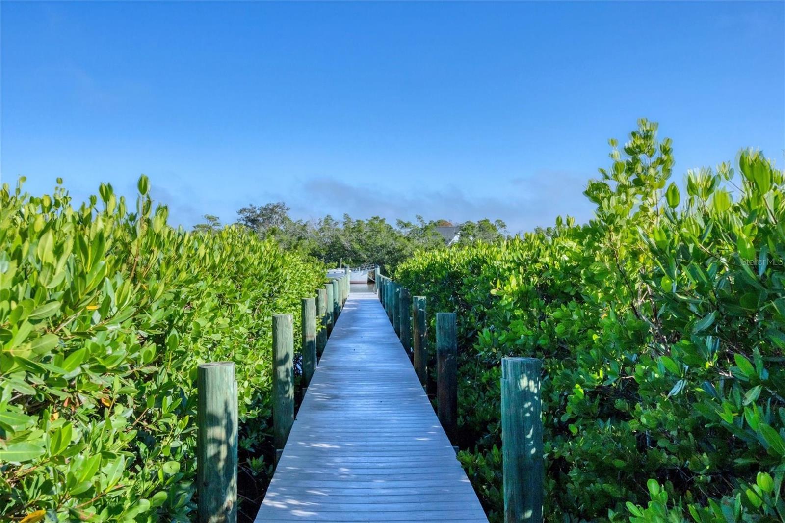PINES ON BAY - Residential