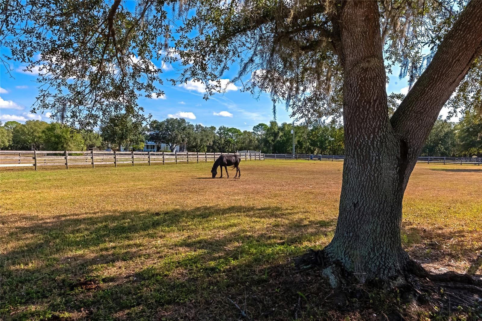 BERN CREEK THE RANCHES AT - Residential