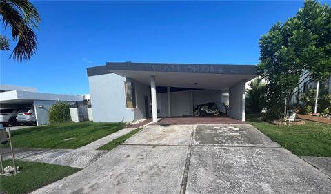 Urb. Ciudad Jardín AZUCENA 167 CAROLINA  00985