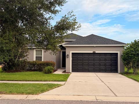 Photo of 3998 Pacente Loop, Wesley Chapel, FL 33543 (MLS # TB8531139)