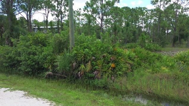 This triple lot is perfect for someone who wants the extra land to add RV parking or other toys. Plenty of privacy around even though there is new construction all around the neighborhood! A quick walk thru the property shows no signs of gopher turtles but we ask that you do your own Due Diligence. Fencing is allowed as there are no deed restrictions. This is a great lot to build and make your own compound! Electric Pole is there so bringing in power will be easy!