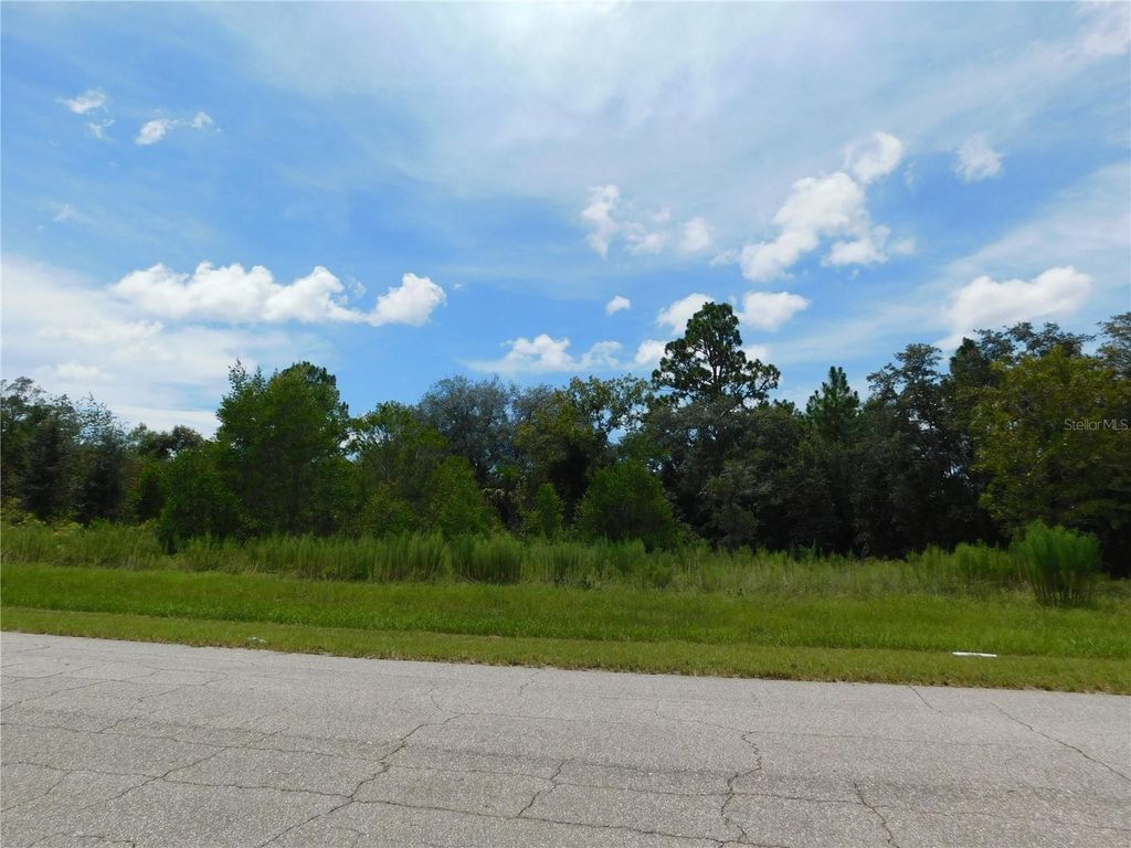 Photo of 6683 N Bedstrow Boulevard, Dunnellon, FL 34434 (MLS # W7878156)