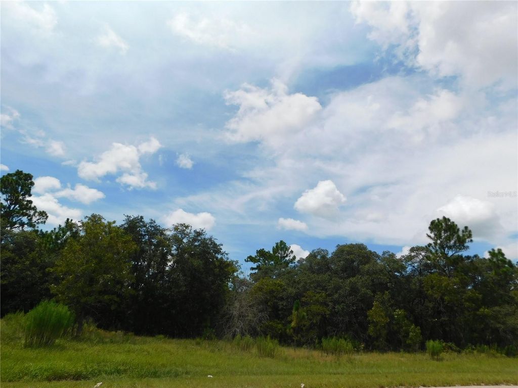 Photo of 6683 N Bedstrow Boulevard, Dunnellon, FL 34434 (MLS # W7878156)