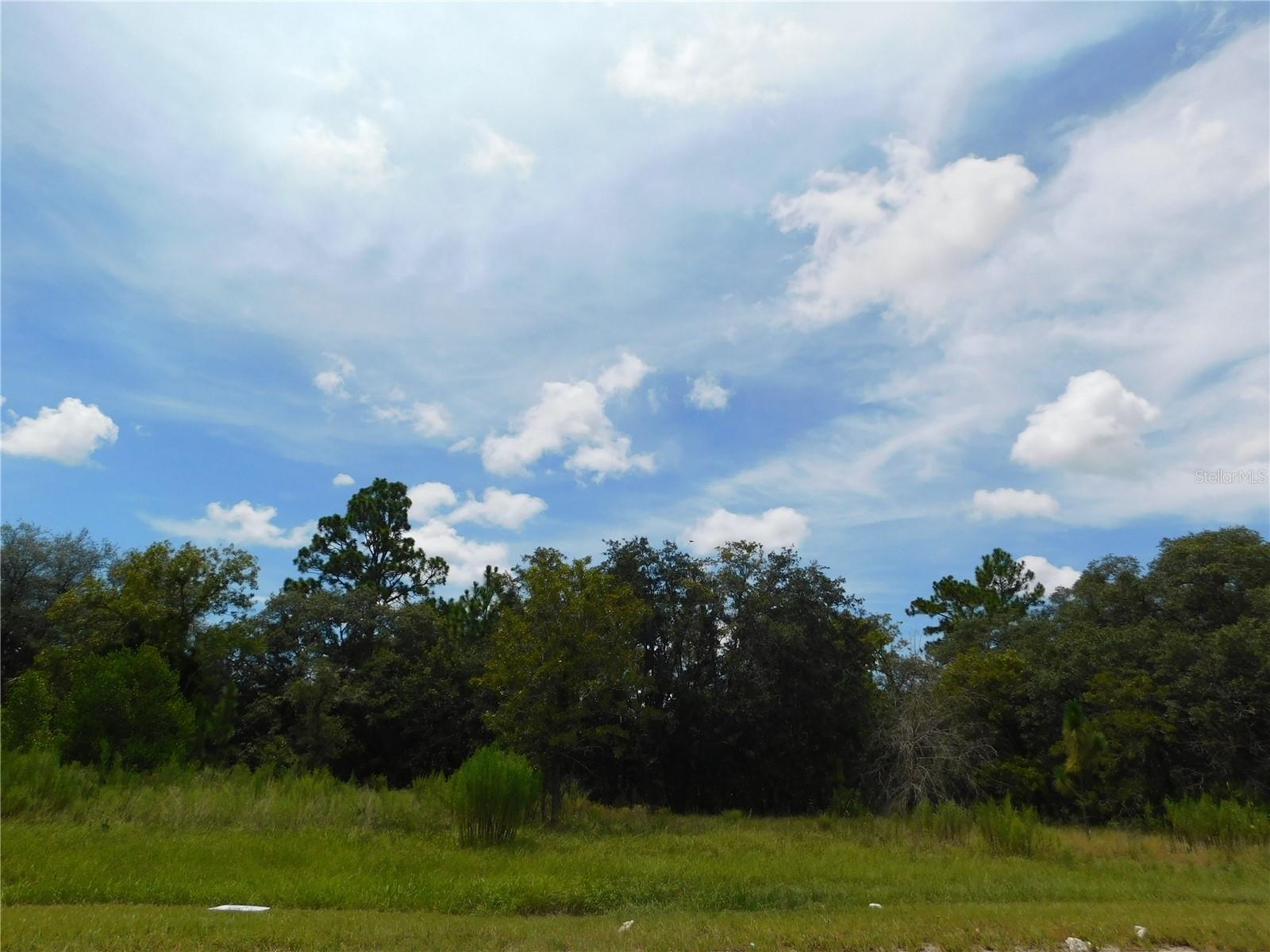 Prime Location perfect for your dream home or investment! Come and take a Look!!! NO HOA Fees! NO Flood Zone! Paved Road! Citrus County Water Resources! A short drive to the Withlacoochee & Rainbow rivers for Freshwater fishing, boating and kayaking or take a drive to the Crystal River for scalloping or a swim with the manatees! Citrus Springs offers paved bike trails, tennis courts, golf course, parks, and a beautiful community center. Withlacoochee Trail is less than 10 minutes away. A short distance to shopping, medical and library. Centrally located between Dunnellon, Inverness, Beverly Hills, Crystal River and Homosassa. or about 15 Minutes to the Suncoast Expwy. 20 minutes from Ocala and I-75, an hour from Gainesville, a short distance from Springhill, Brooksville Tampa and Orlando. This lot is worth a look! Great Opportunity! Financing Available for those who qualify. Adjacent lot, MLS# W7878137, is also available. Seller open to package deal.