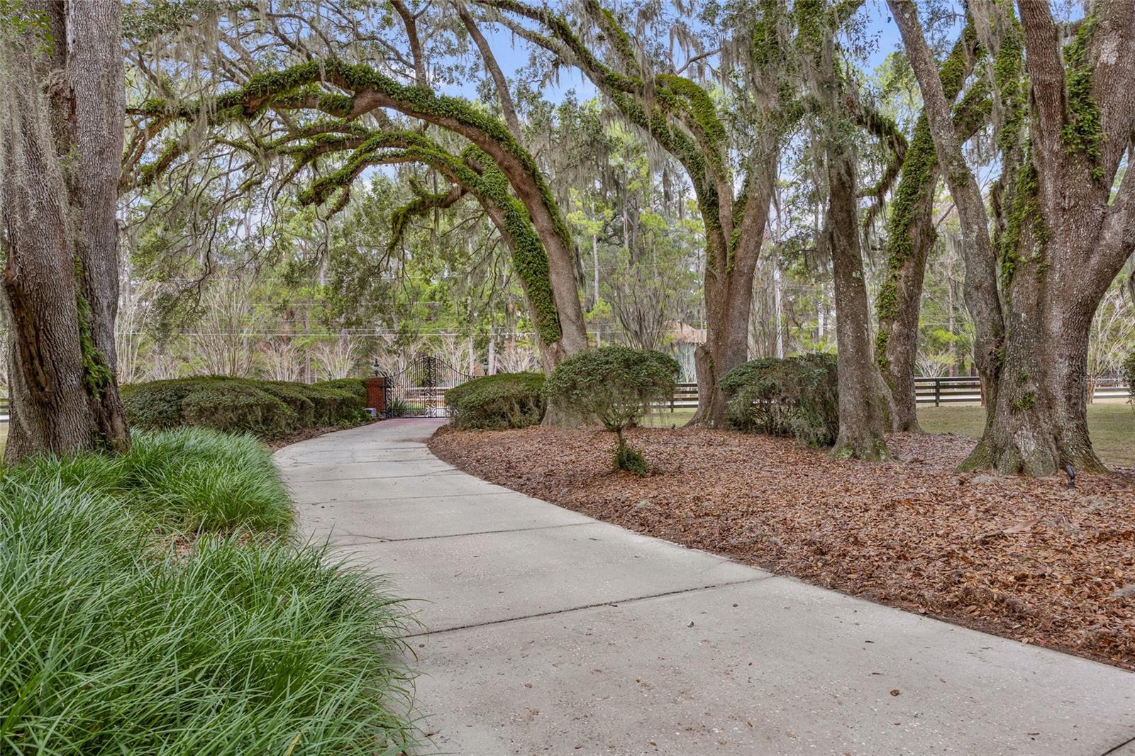 ALACHUA HIGHLANDS - Residential