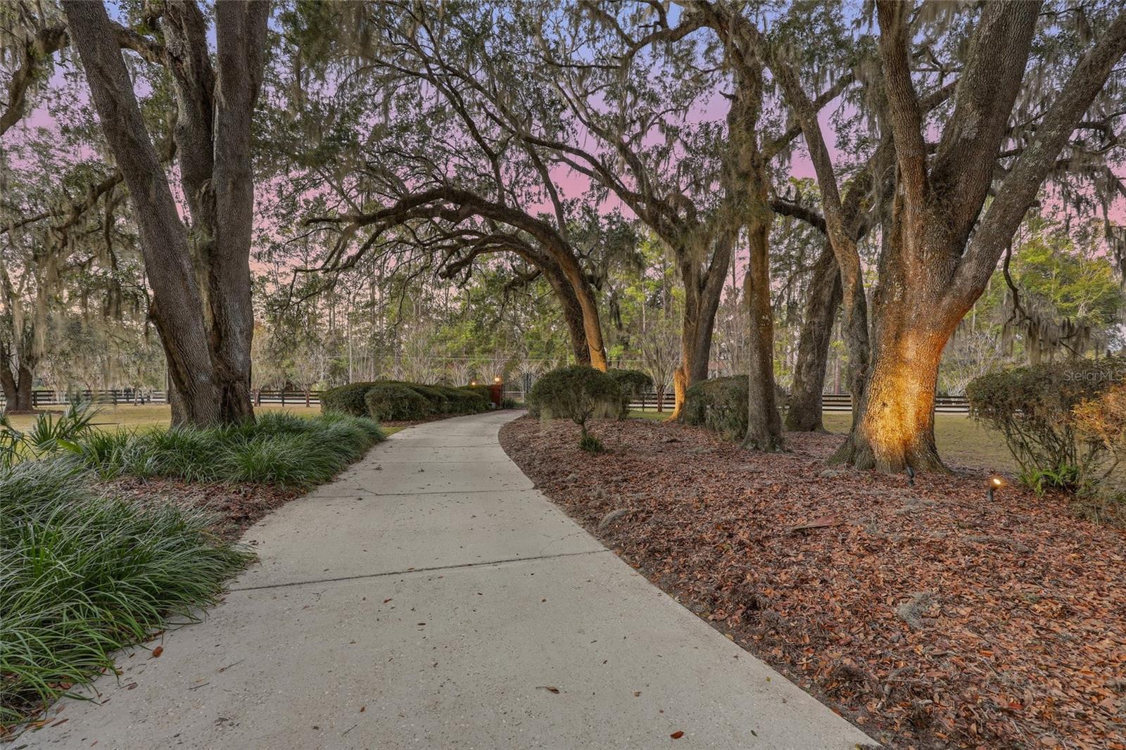 ALACHUA HIGHLANDS - Residential