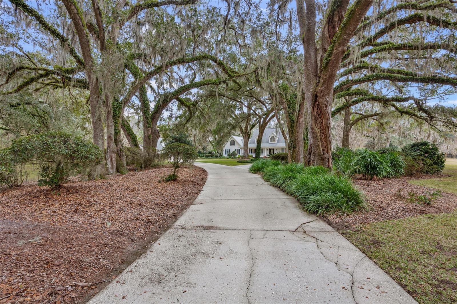 ALACHUA HIGHLANDS - Residential