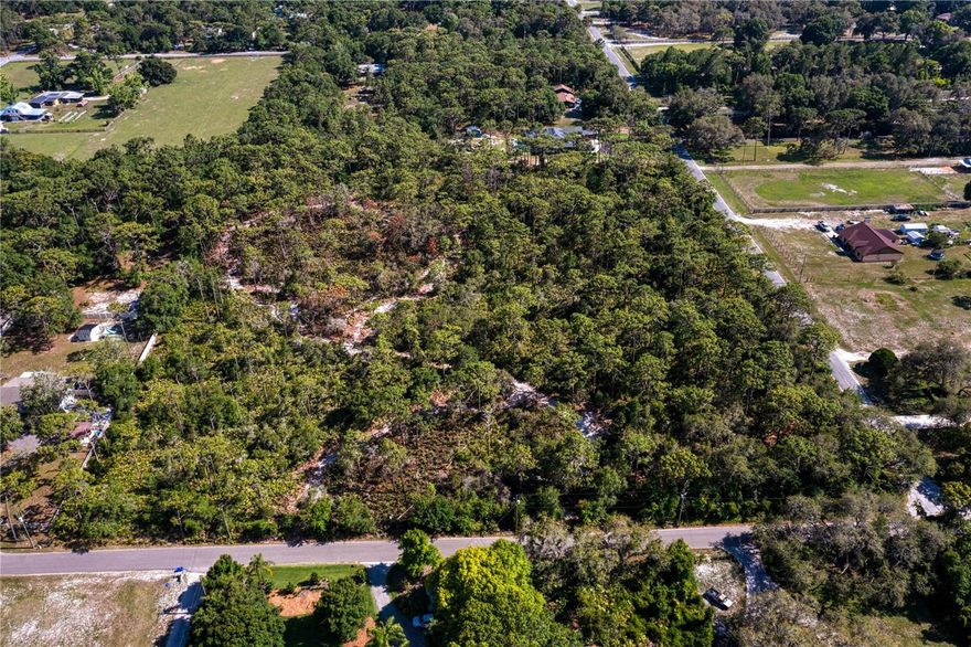 Never before offered 8.8 acres of beautiful, wooded land in the gorgeous Keystone area of Odessa.  Located in Hillsborough County at the Southeast corner of County Line and Hiawatha, this ASC-1 (future land use R-1) zoned property is perfect for subdividing into eight 1+acre lots.  Or, build an estate home on this expansive property.  Bring your animals!  Flood zone X; all high and dry with no wetlands.  Schools are Hammond Elem, Martinez Middle, and Steinbrenner High.