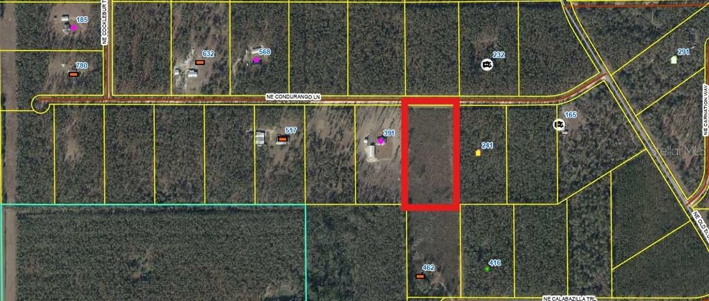 Photo of 462 NE Calabazilla Trail, Lee, FL 32059 (MLS # O6384858)