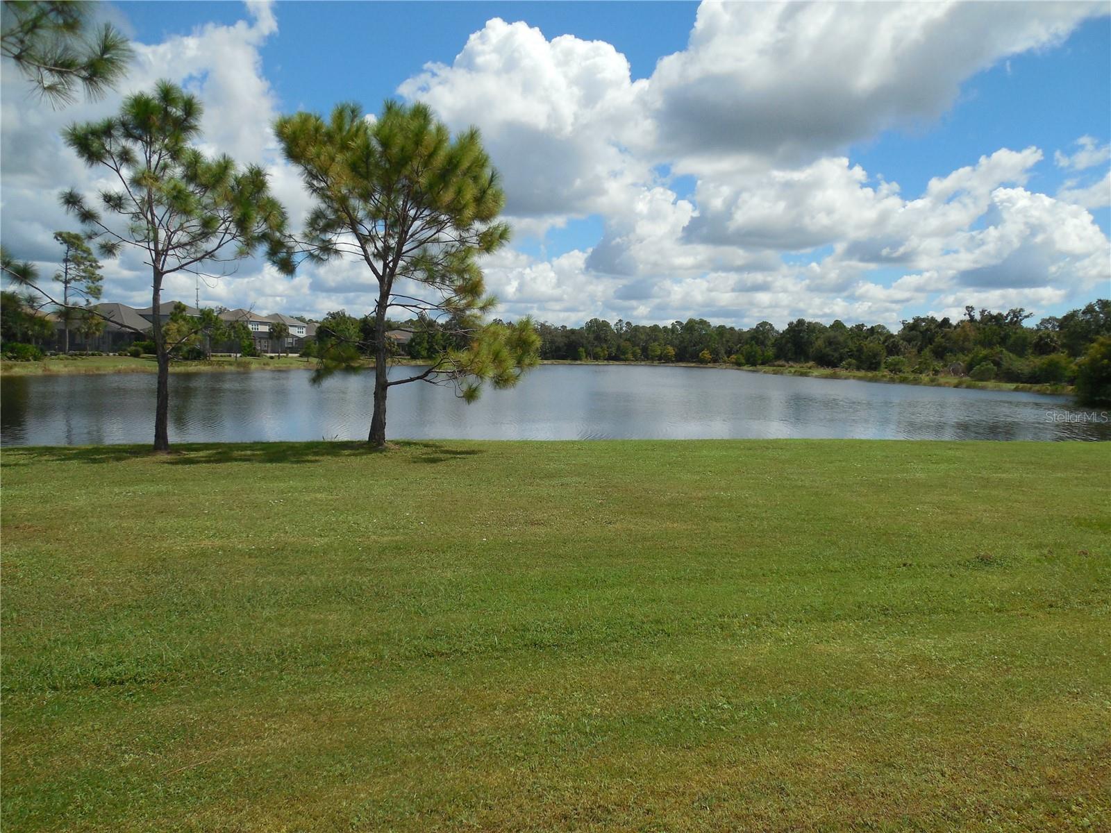 GRAND PALM - Residential