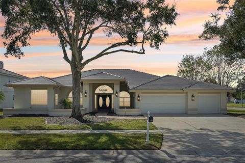 A home in PALM HARBOR