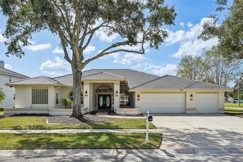 A home in PALM HARBOR