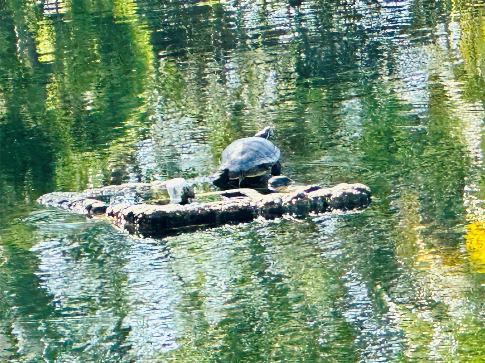 BARRINGTON WOODS - Residential