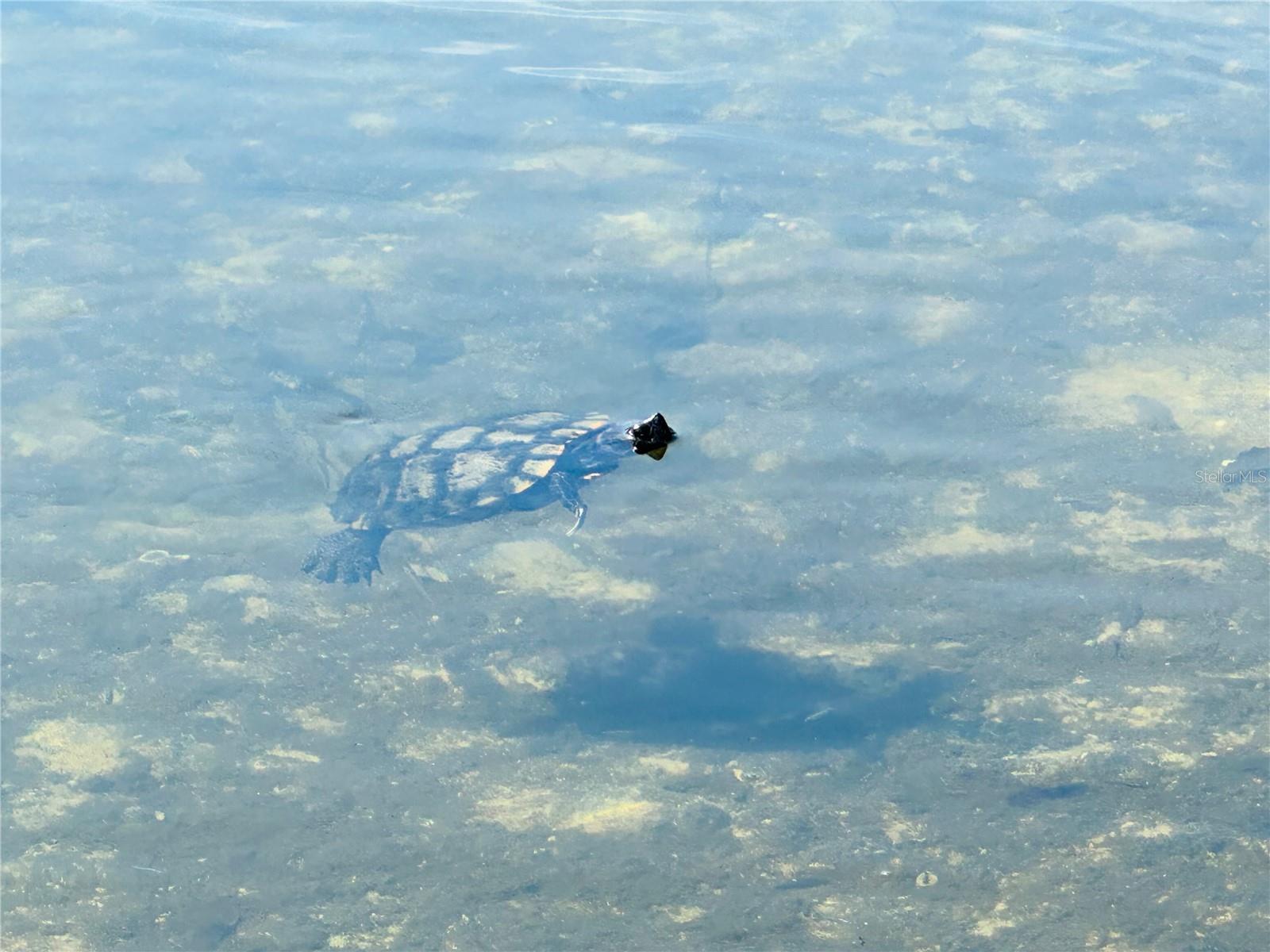 BARRINGTON WOODS - Residential