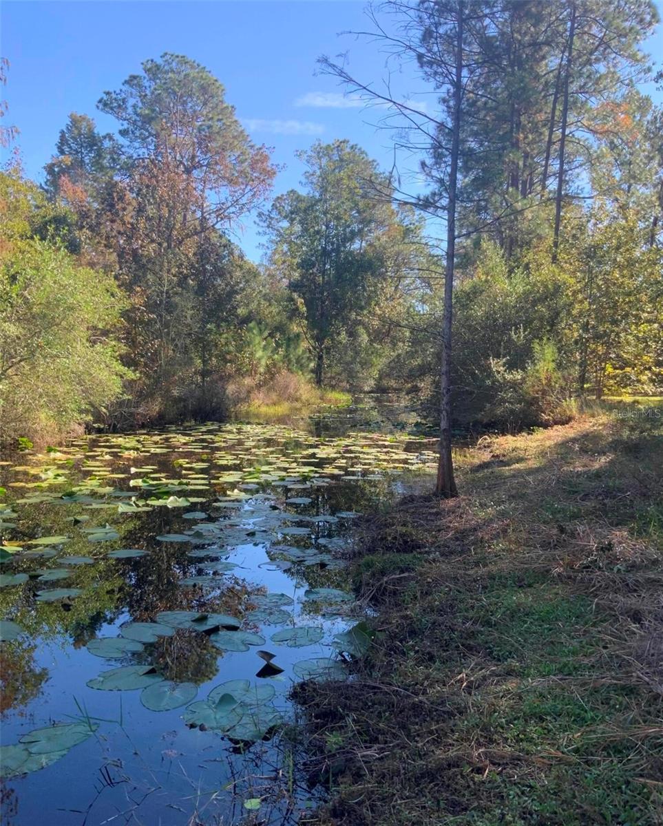 21426 NE 51ST AVENUE