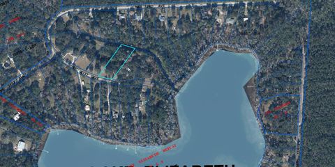 21426 NE 51ST AVENUE EARLETON FL 32631