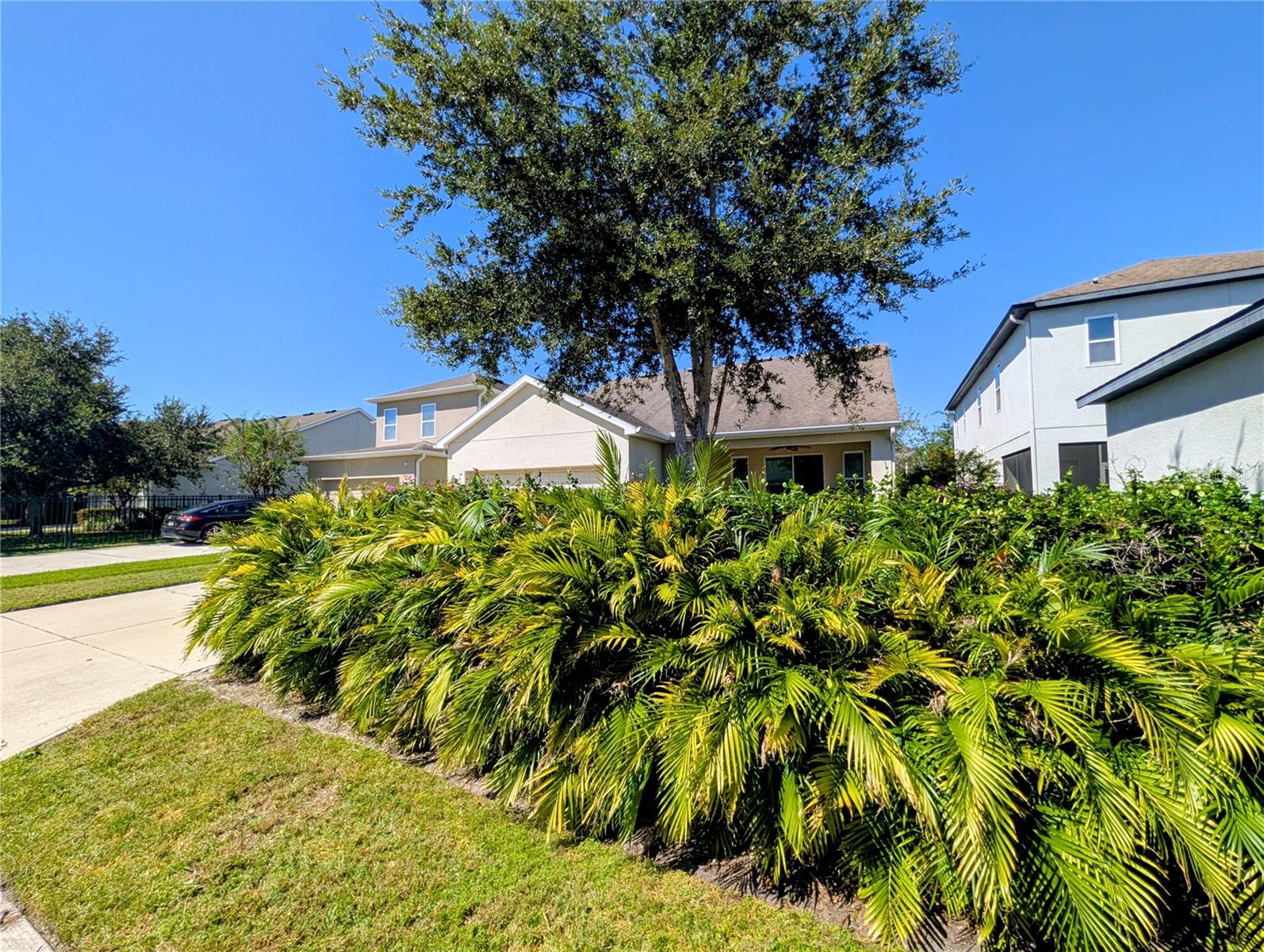 GRAND HAMPTON PH 5 - Residential