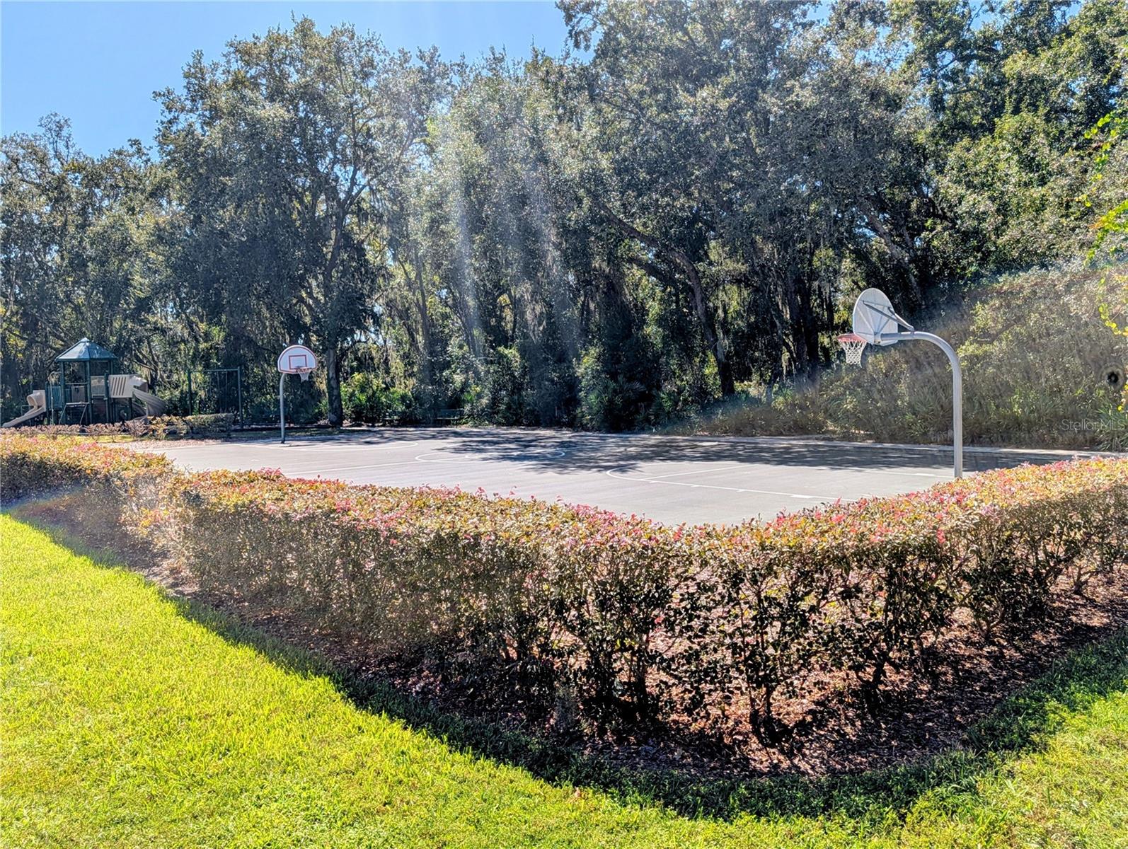GRAND HAMPTON PH 5 - Residential