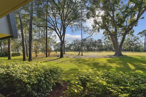 A home in PALM HARBOR