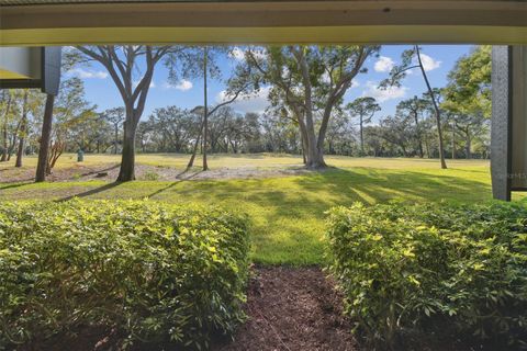 A home in PALM HARBOR