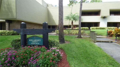 A home in PALM HARBOR