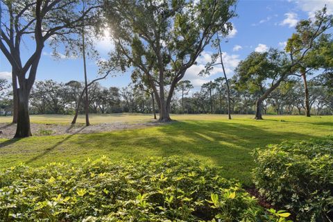 A home in PALM HARBOR