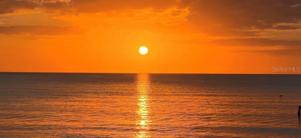 CLEARWATER SAND KEY CLUB - Residential