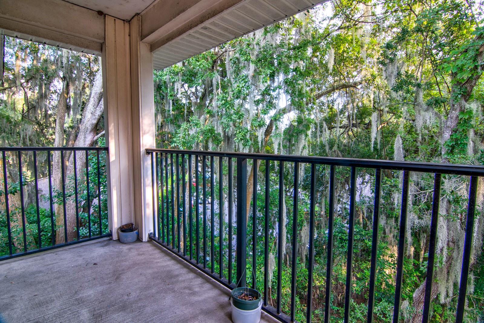 UNIV TERRACE - Residential