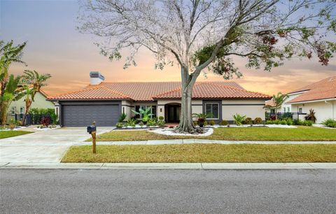 5809 CRUISER WAY TAMPA FL 33615