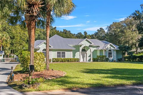 A home in FLAGLER BEACH