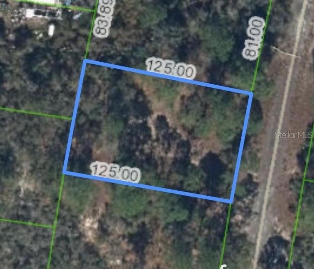 Photo of 320 Blue Heaven Drive, Lake Placid, FL 33852 (MLS # P4936195)