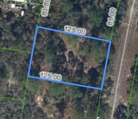 320 BLUE HEAVEN DRIVE LAKE PLACID FL 33852