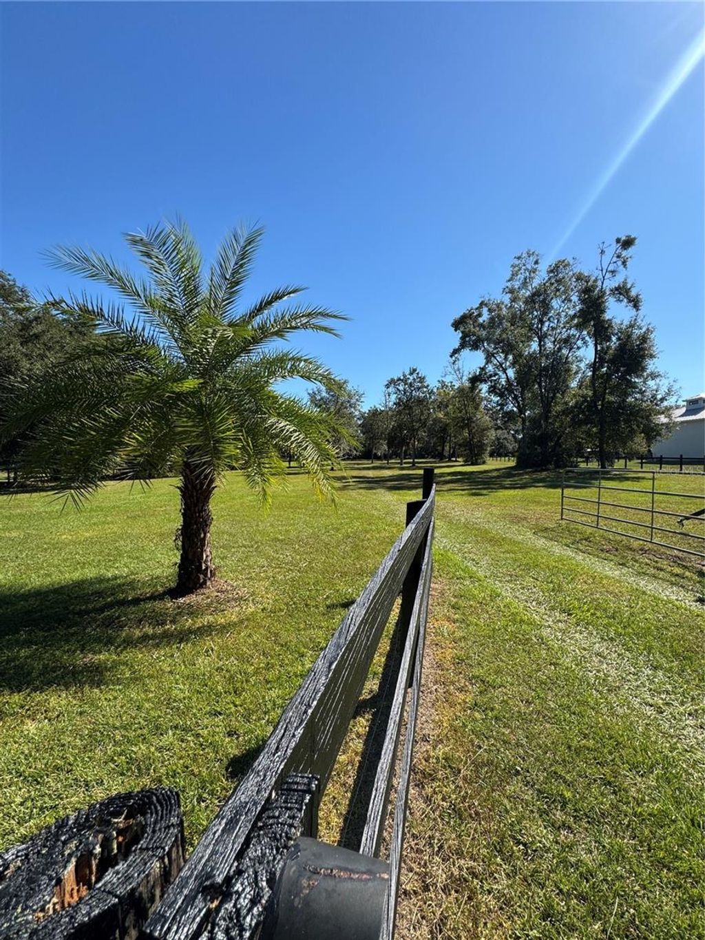 Photo of Tbd NE 185 Avenue, Williston, FL 32696 (MLS # GC534269)