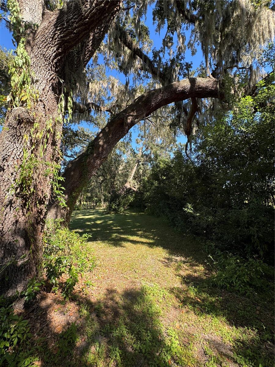 IVEY RUN ESTATES - Land