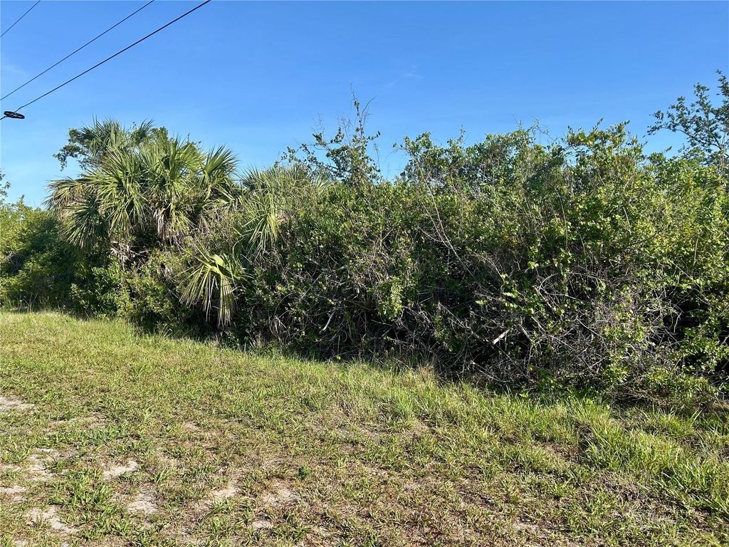 Photo of 14408 Morristown Avenue, Port Charlotte, FL 33981 (MLS # A4658841)