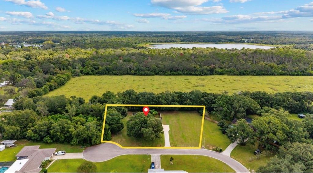 Photo of 10204 Tranquil Lane, Odessa, FL 33556 (MLS # TB8436697)