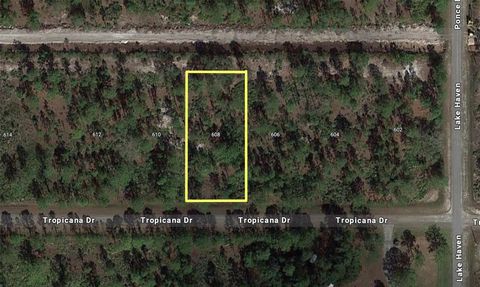 608 TROPICANA DRIVE INDIAN LAKE ESTATES FL 33855