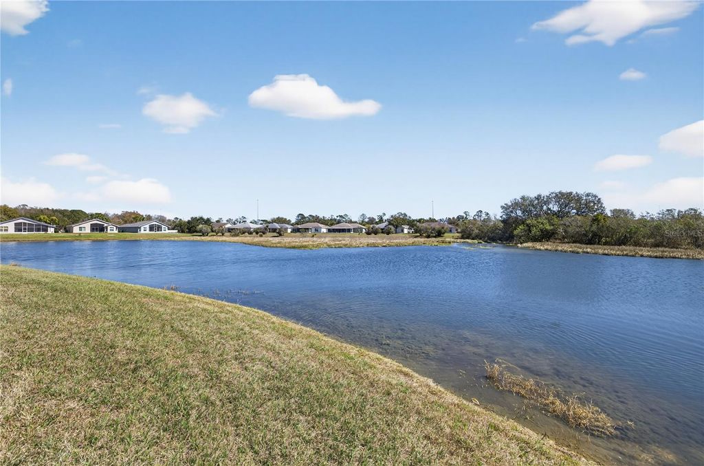 Photo of 10824 Collar Dr, San Antonio, FL 33576 (MLS # TB8478888)