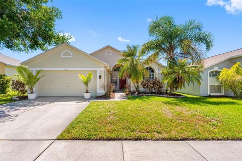 Photo of 3137 Castle Rock Circle, Land O Lakes, FL 34639 (MLS # TB8498285)