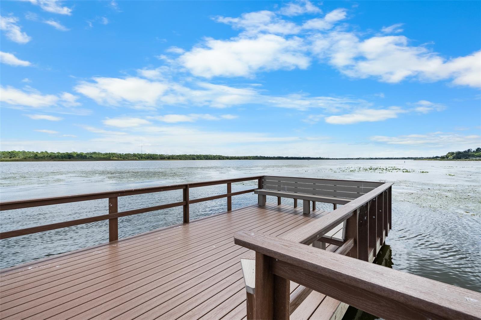 TOWNHOMES OF LAKE SEMINOLE - Residential